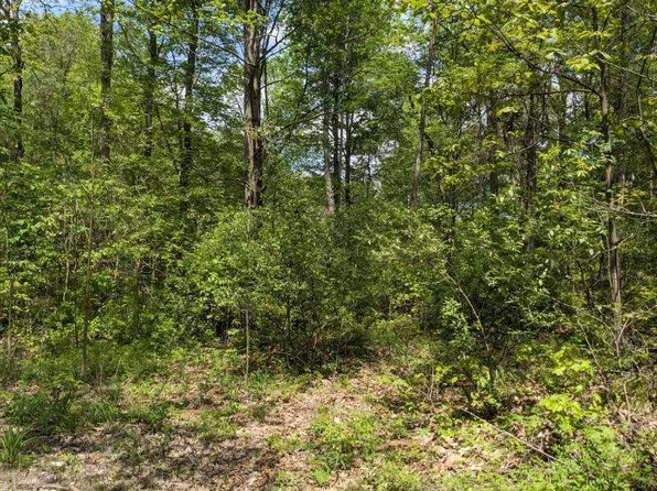 TRACT 4 Tuley Trce, Nineveh, IN 46164