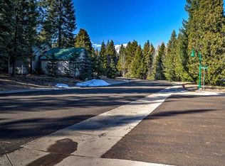 87 Panther Meadow Dr, McCloud, CA 96057