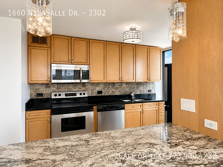 1660 N Lasalle St #3302 — Photo 9