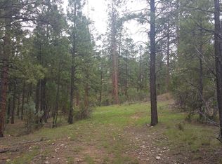 1939 Pine St, Heber, AZ 85928