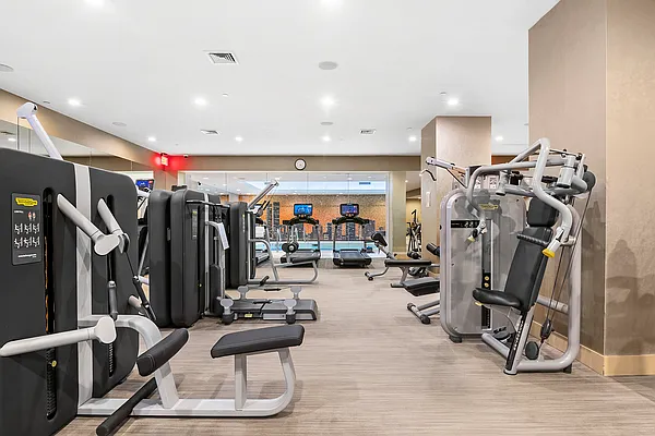 Rented by Douglas Elliman | media 26