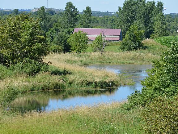 Pond