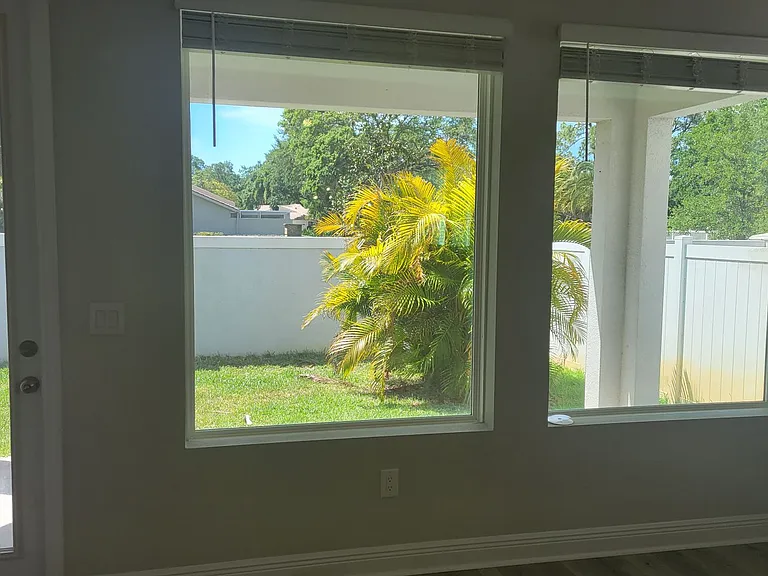 5534 Spanish Moss Cv — Photo 10