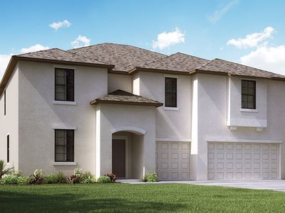 10037 Celtic Ash Dr, Ruskin, FL, 33573