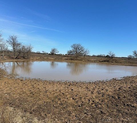 5th image of Chicken Fight Rd