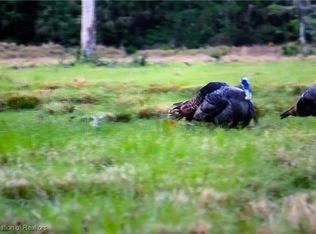 Mineral Branch Rd, Zolfo Springs, FL 33890