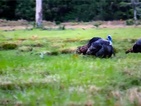 Mineral Branch Rd, Zolfo Springs, FL 33890