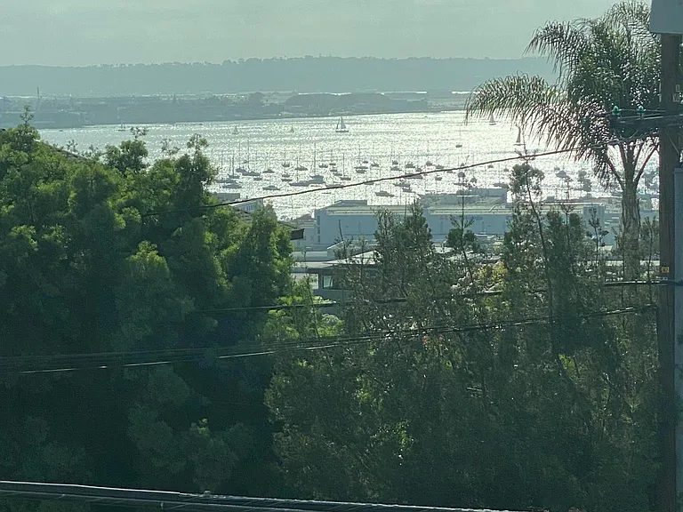 View From Primary Bedroom Window