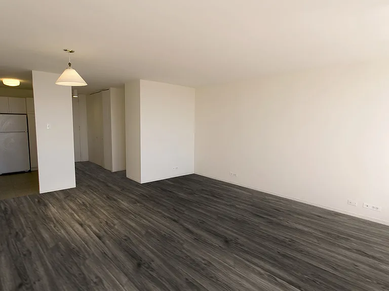 Dining/Living room
