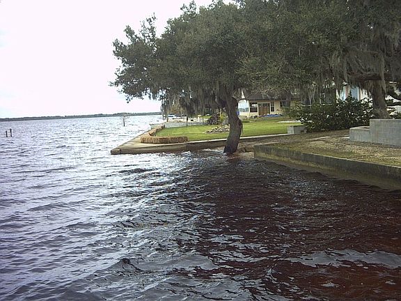 Neighborhood Lake View