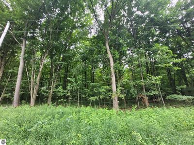 0 S 7 1/2 Rd, Harrietta, MI, 49638