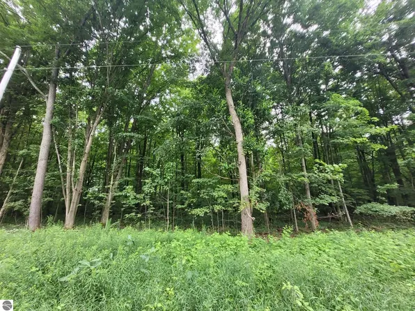 0 S 7 1/2 Rd, Harrietta, MI 49638
