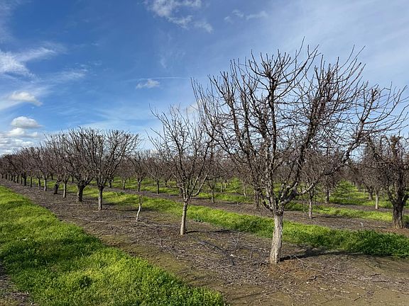 5th image of 6722 Bryden Rd