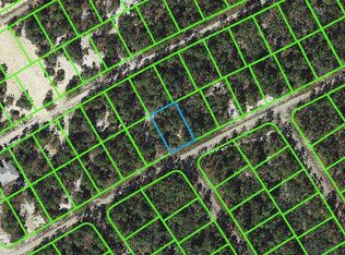 414 Apple Blossom Ave, Lake Placid, FL 33852