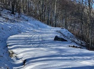 0 Wandering Trl #98, Waynesville, NC 28785