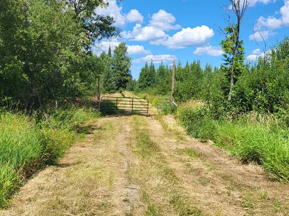 10501 Heino Rd, Angora, MN 55703