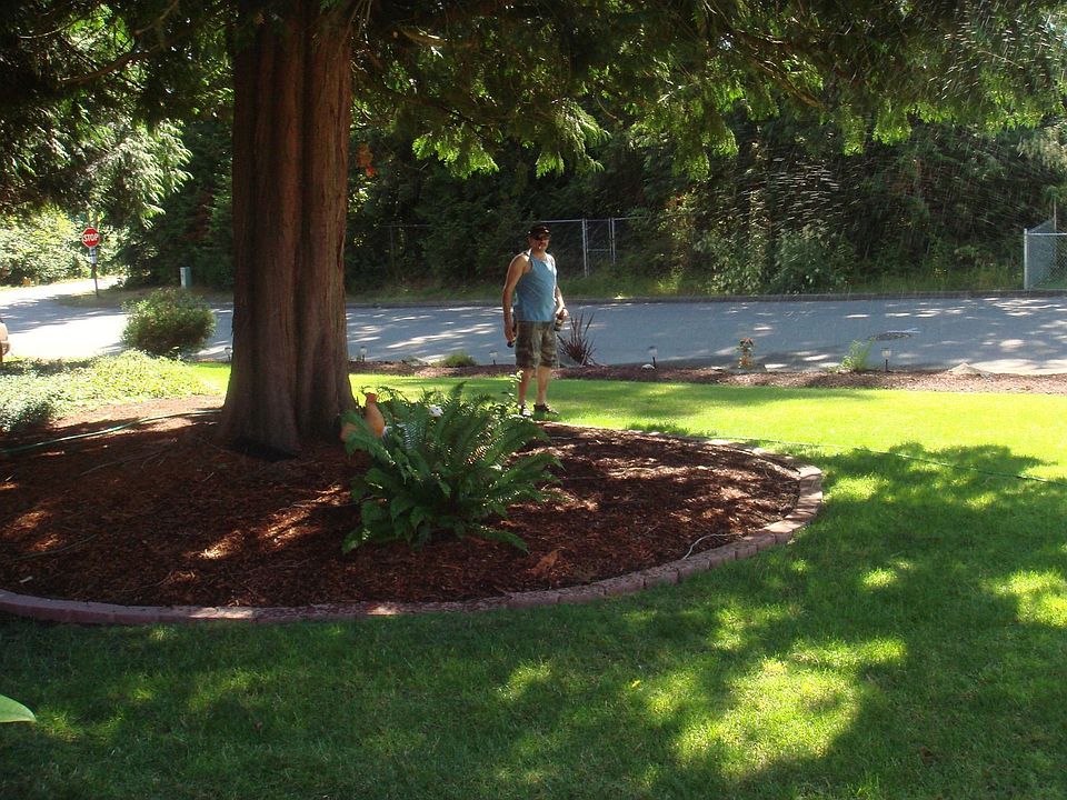 front yard