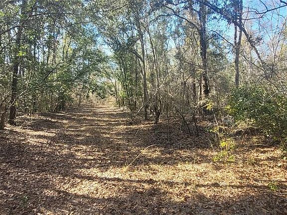 3rd image of SW State Route 751 Lot 4