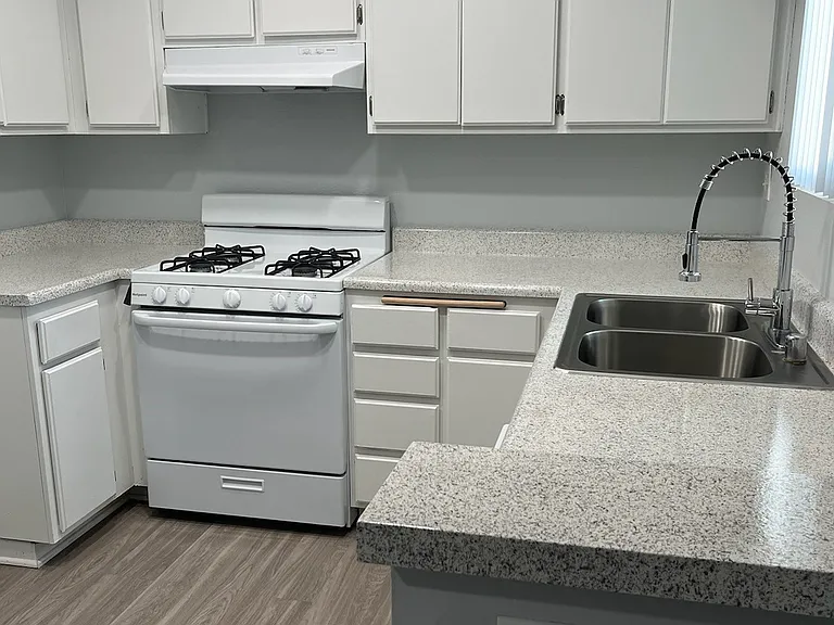 Beautiful and spacious kitchen with dishwasher and gas stove