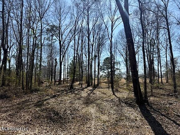 3rd image of Boyd Trl NW