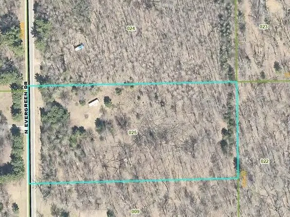 4682 N Evergreen Dr, White Cloud, MI 49349