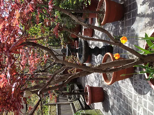 Rented by Halstead Real Estate | media 18