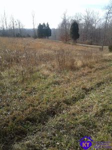 300 Landing Rd, Leitchfield, KY, 42754