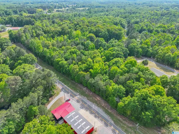 0 County Road 42 Lot 1, Jemison, AL 35085