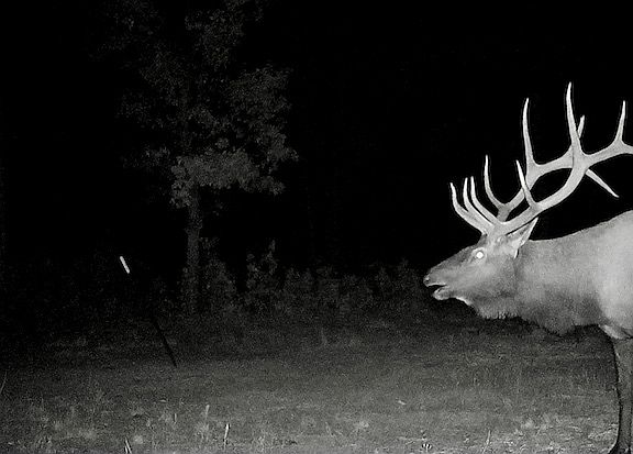 5th image of Elk Haven Rd