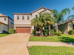 11040 Little Blue Heron Dr, Riverview, FL 33579