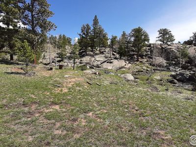102 Mount Princeton Ct, Livermore, CO, 80536