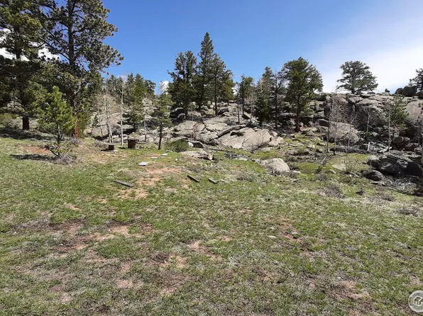 102 Mount Princeton Ct, Livermore, CO 80536
