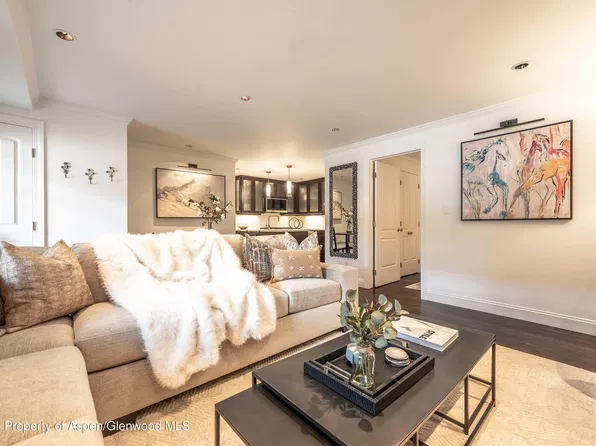 747 S Galena St #110, Aspen, CO 81611
