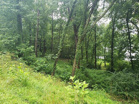 3rd image of Walnut Bend Dr Lot 11