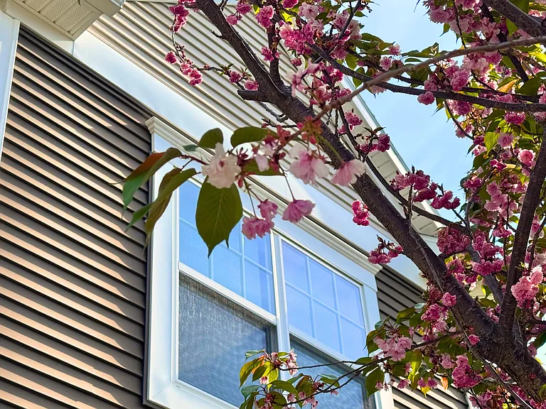Holly Tree Apartments — Photo 6