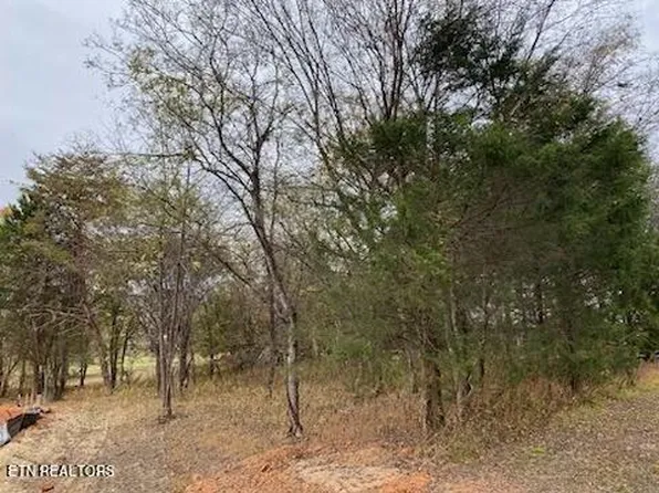 LOT 5 Dudi Trl, Vonore, TN 37885