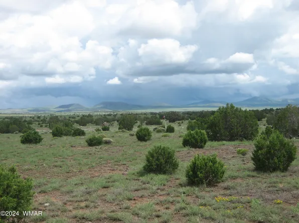 44 Windsor Valley Rnch, Concho, AZ 85924