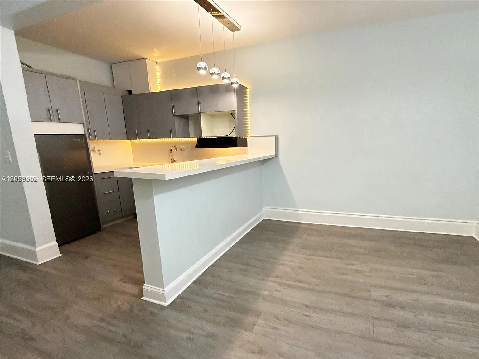 Mendoza Condo — Photo 4