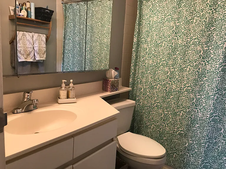 440 N Wabash Ave #3001 — Photo 8