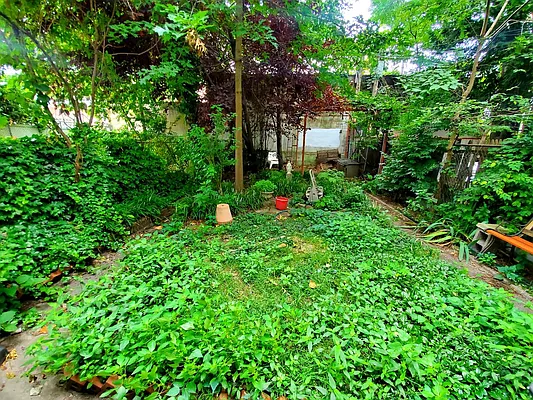 Rented by Brooklyn Property Group LLC | media 30