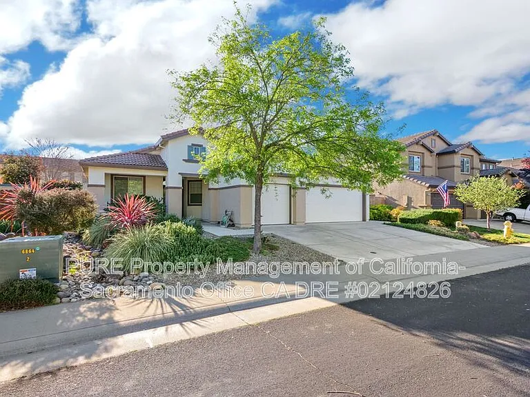 1732 Bamboo St — Photo 36