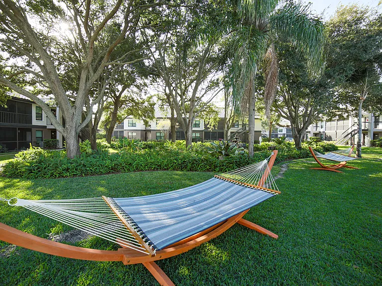 The Palms of Clearwater Apartments Hammock Lawn