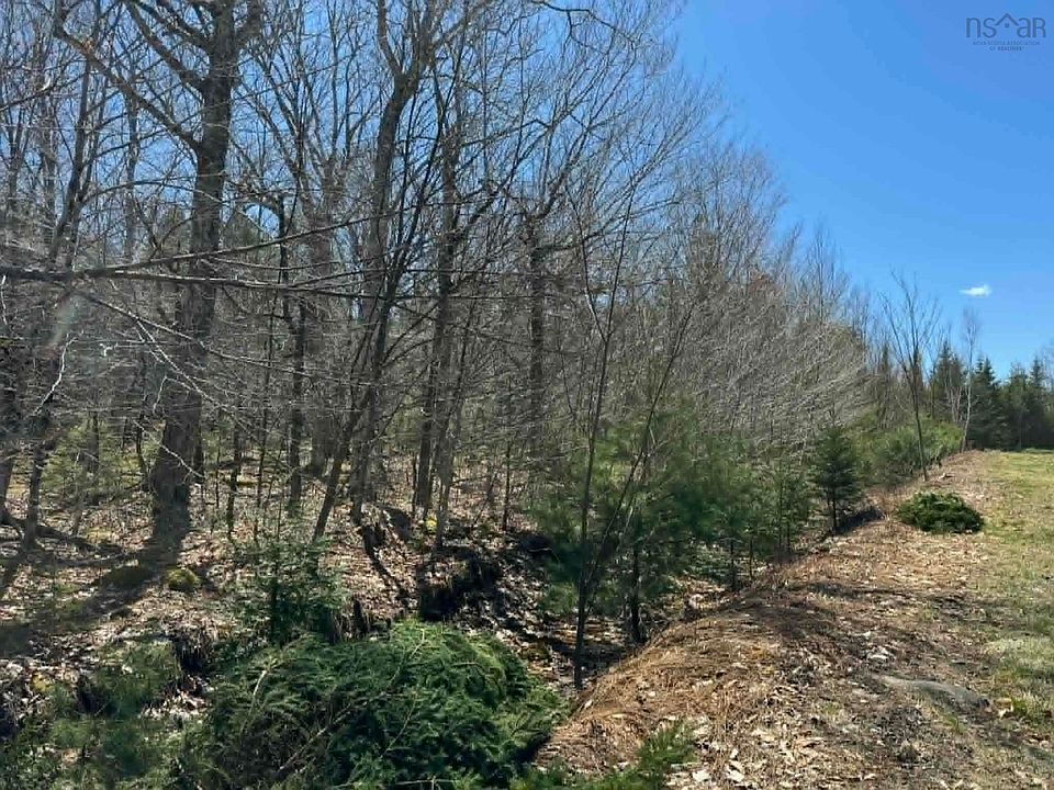 2nd image of Kill Dog Cove Rd Lot R-9