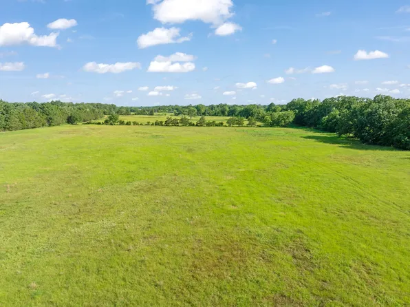 259 County Road 44880, Blossom, TX 75416