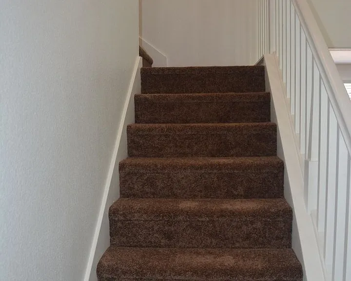 1019 Cape May Dr — Photo 15