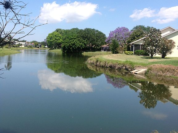 View from back yard