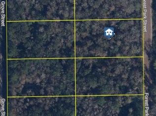 2068 Forest Park St, Bunnell, FL 32110