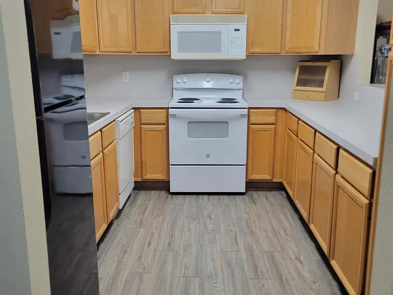937 Crepe Myrtle St — Photo 10