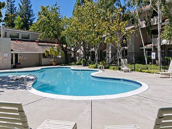 Resort-Inspired Pool