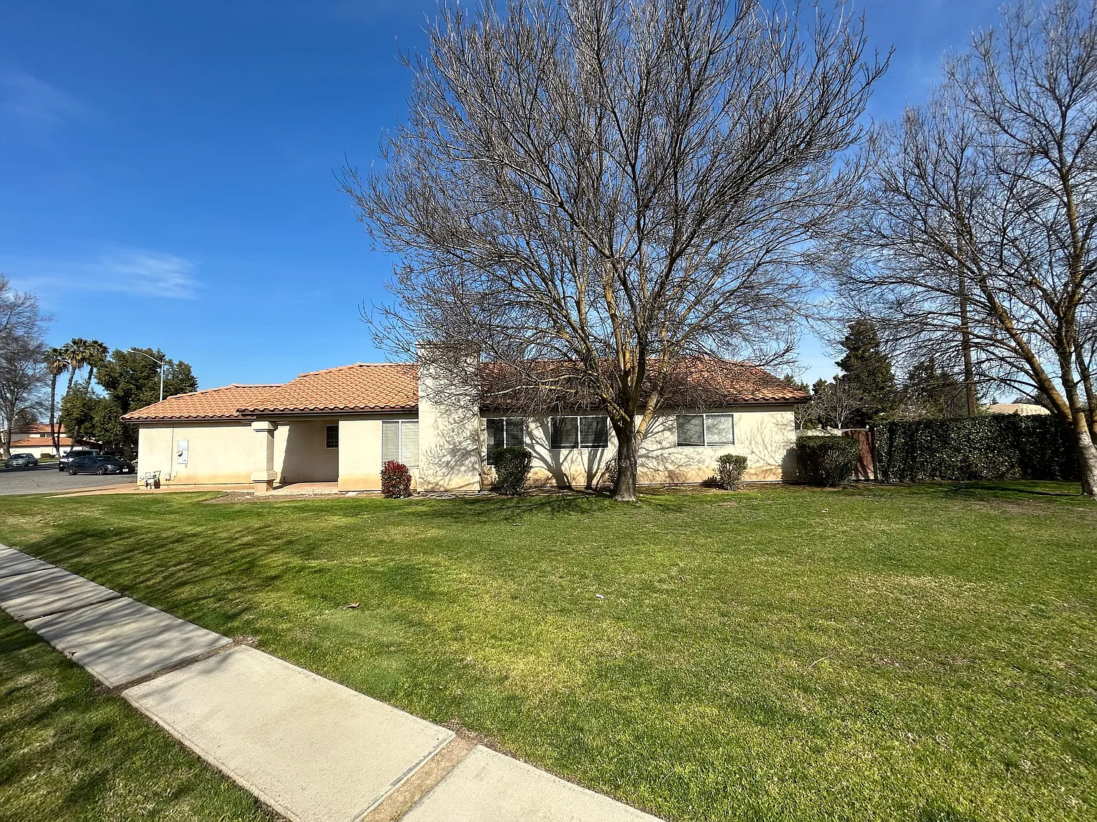 3 bed, 1554 sqft, $2,200 — Photo 3